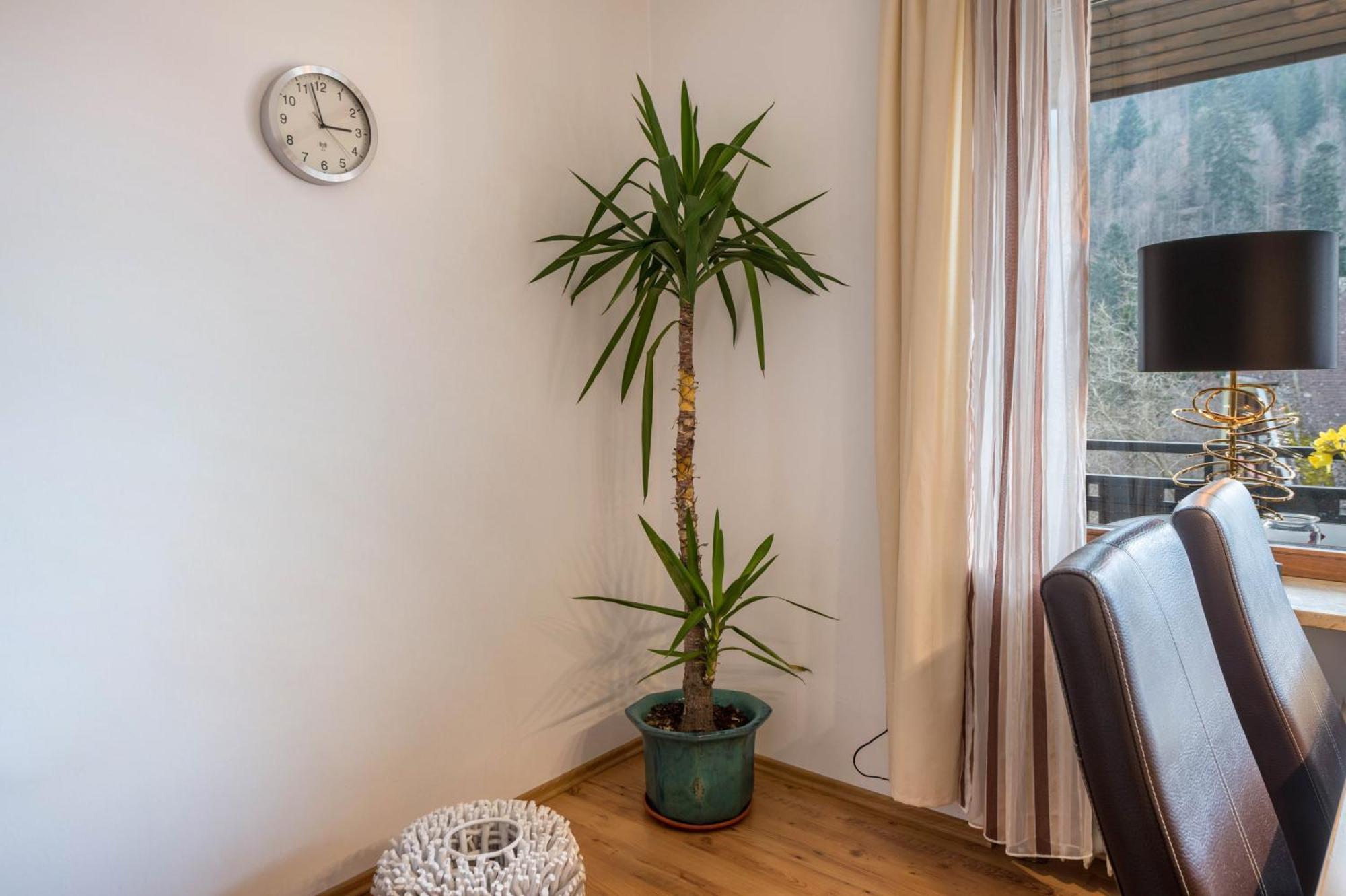 Apartamento Haus Akelei Todtmoos Exterior foto